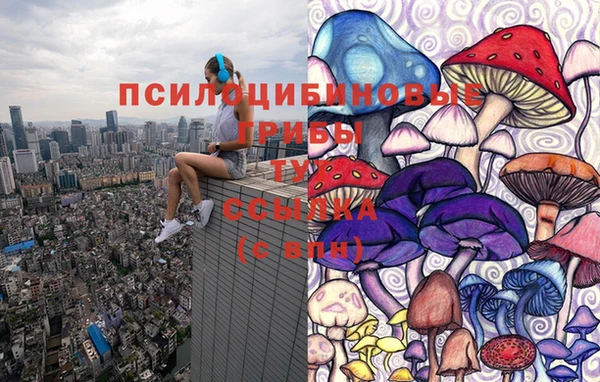 прущий лед Алексеевка