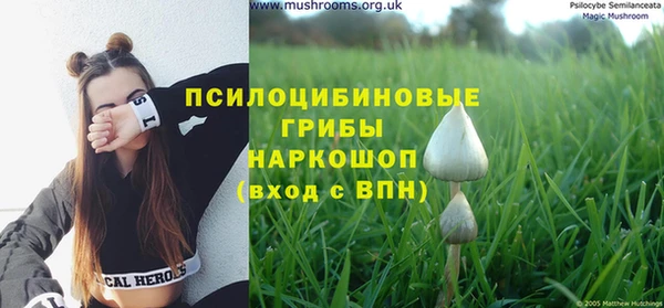 PSILOCYBIN Алексин