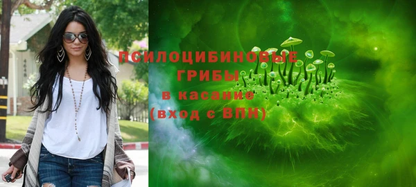 PSILOCYBIN Алексин