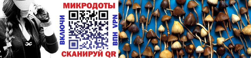 закладка  Пошехонье  Галлюциногенные грибы GOLDEN TEACHER 